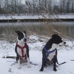 Lilli und Henry im Schnee