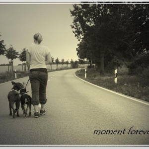 moment forever ...