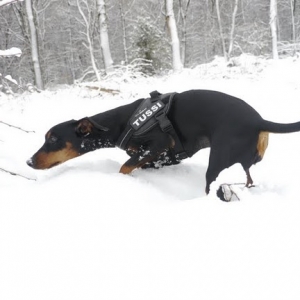 Alina Im Schnee