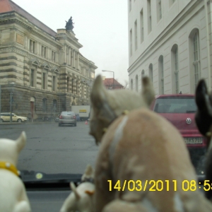 Wackel Bulli's In Dresden