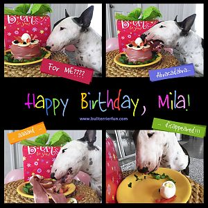 HAPPY BIRTHDAY, MILA!