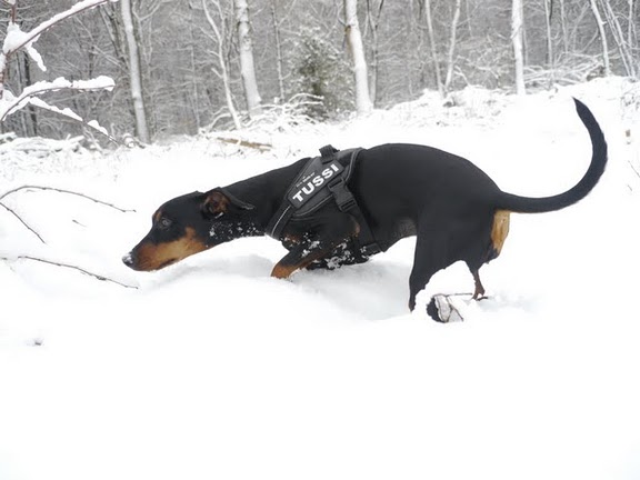 Alina Im Schnee