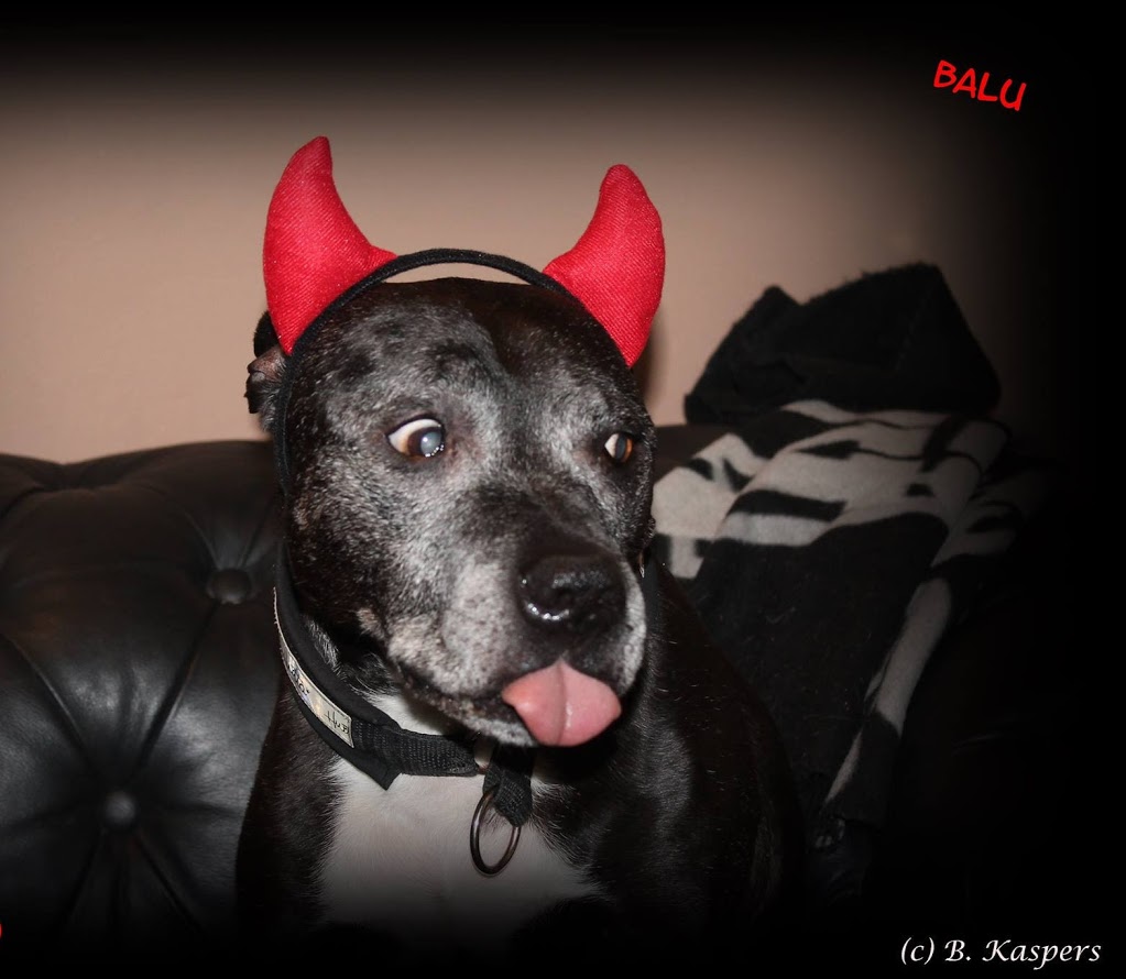 Lulu Devil