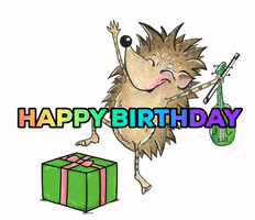 Happy Birthday Hedgehog GIF by The Twiolins