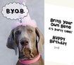 birthday-cards-for-dogs-dog-lover-birthday-cards-dog-speak-cards-and-gifts-animals-free.jpg