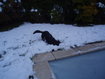 Espe almost ice punge in the pool.JPG