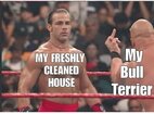 cleanhouse.jpg