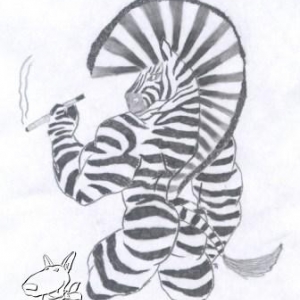Bodybuilding-Zebra