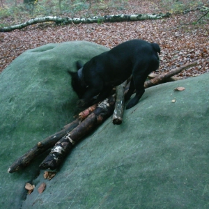 Hallo ich bin Tora