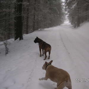 Schneespaziergang