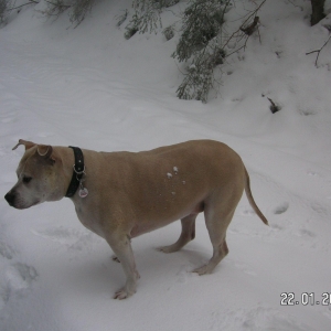 Schneespaziergang