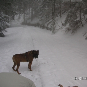 Schneespaziergang