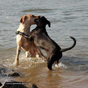 Joy und Hannah