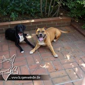 Anni und Leroy