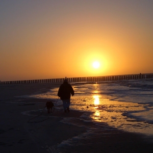 Wangerooge