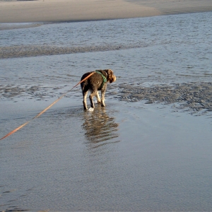 Wangerooge