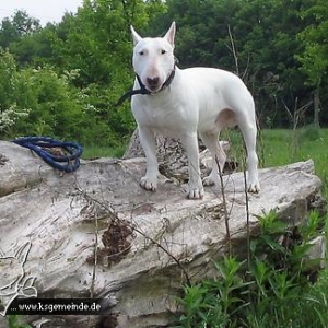 Und noch ein schönes Foto