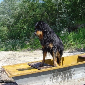 Wir sitzen alle im selben Boot!  (meint Dustyn)