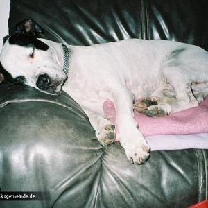 sheela auf dem sofa