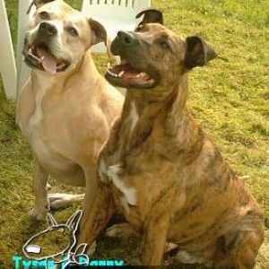 Tyson und Danny