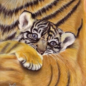 Tigermama und Baby
