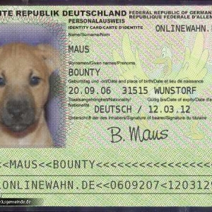 Ausweis von Bounty