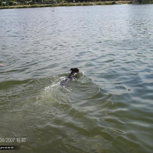 Beim schwimmen