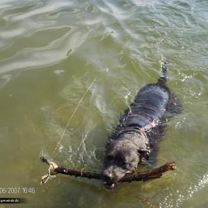 Beim Schwimmen I