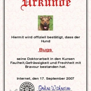 Urkunde