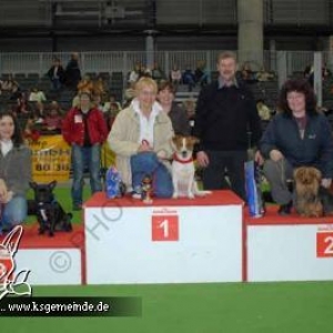 Rassehundeausstellung Offenburg