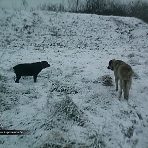 Kira und Gazoo im Schnee