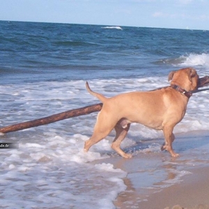 Am Strand