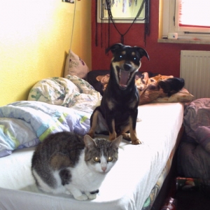 Chico und Katze Trixy