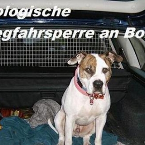 Biologische Wegfahrsperre