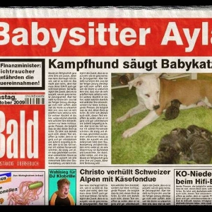 Kampfhund Säugt Babykatzen ;)