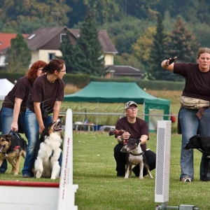 Flyball