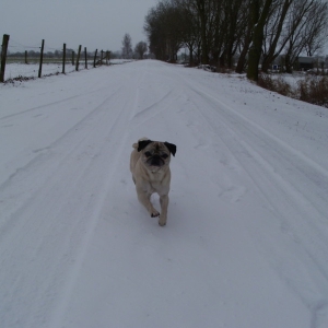 Spaß Im Schnee