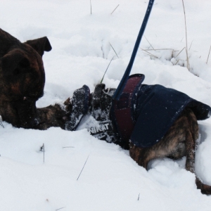 Lenni Und Bati Im Schnee