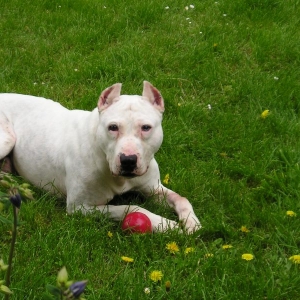 Carlos im neuen Zuhause