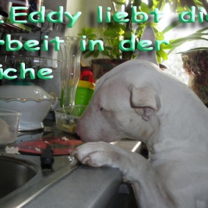 Dr.eddy Stellt Sich Vor