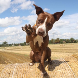 High Five :-)