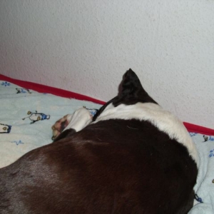 Roxy's  Letzte Bilder