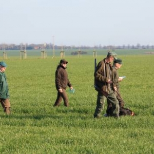 Verbands Jugend Prüfung