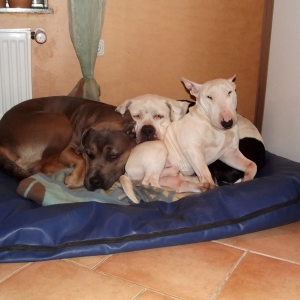 Kuschelrunde