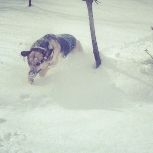 Emma Im Schnee