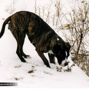 Amy im Schnee!