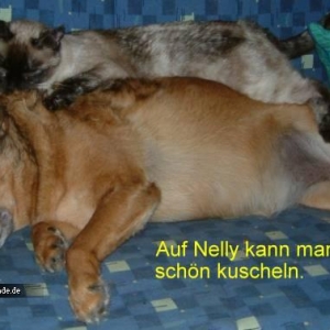 Lotta und Nelly