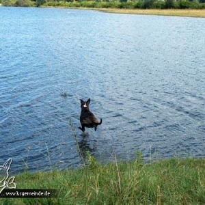 Ich bin ein Wasserhase!!!