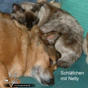 Nelly und Lotta kuscheln