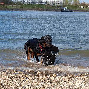 Mann, Mann, das ist ne Schufterei, das Trinkwasser heranzuschaffen